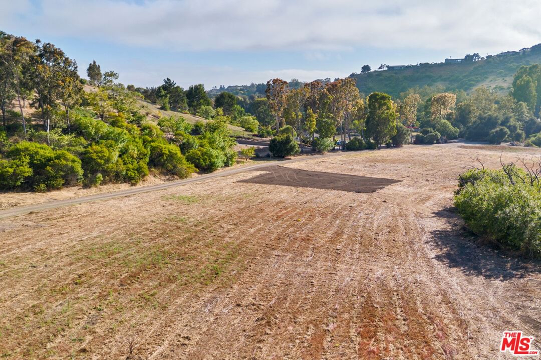 Bonsall photo 15