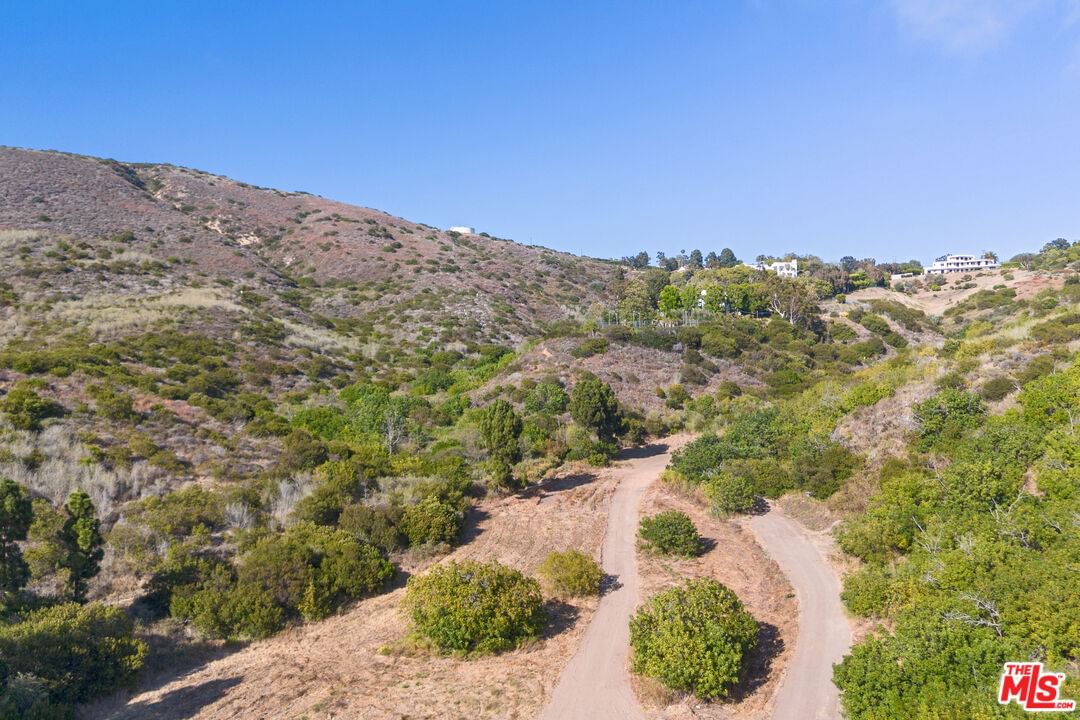 Bonsall photo 20