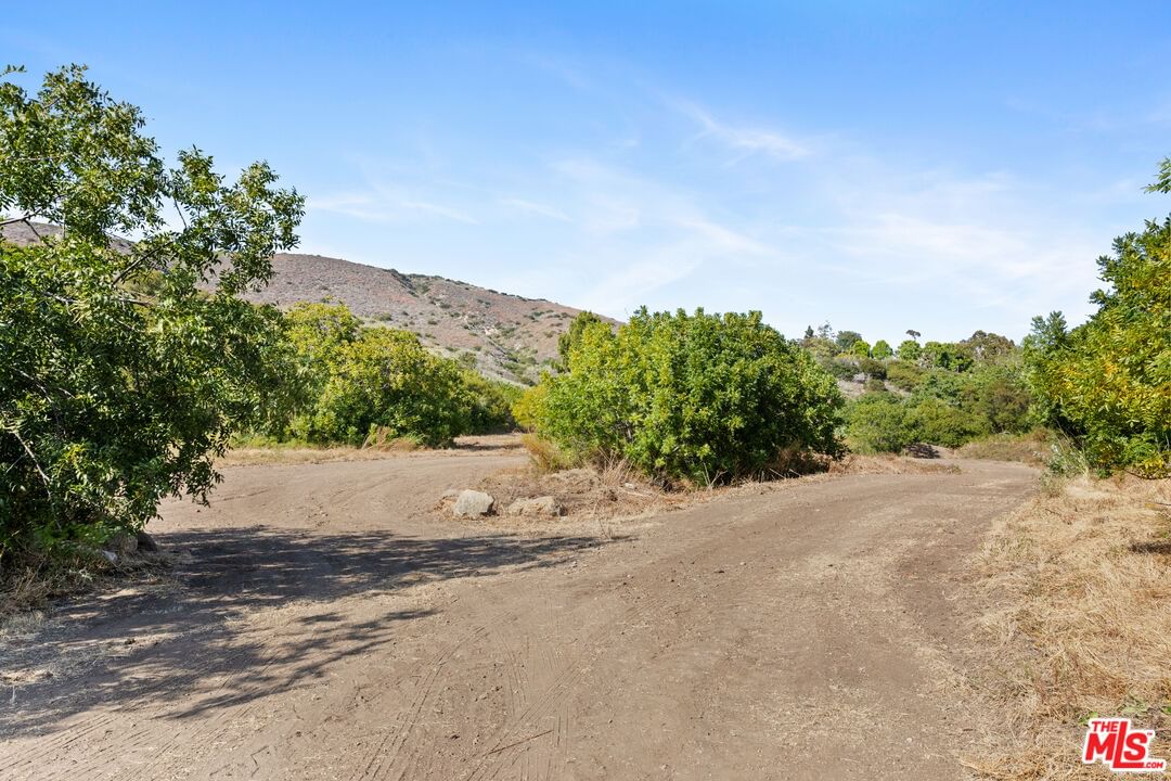 Bonsall photo 21