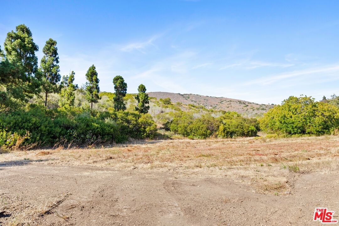 Bonsall photo 22