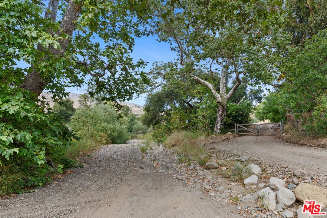 Bonsall photo 25