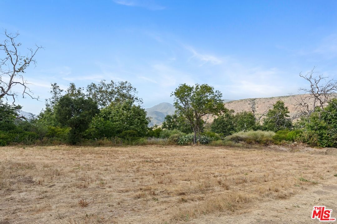 Bonsall photo 26