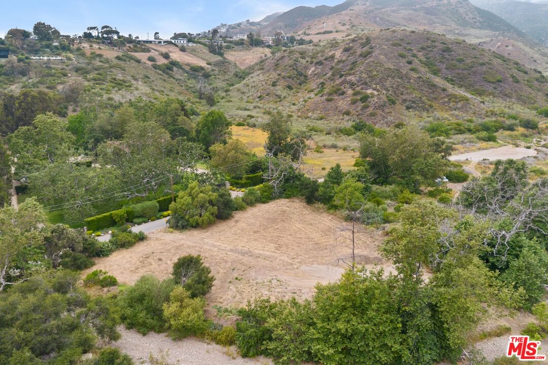 Bonsall photo 28