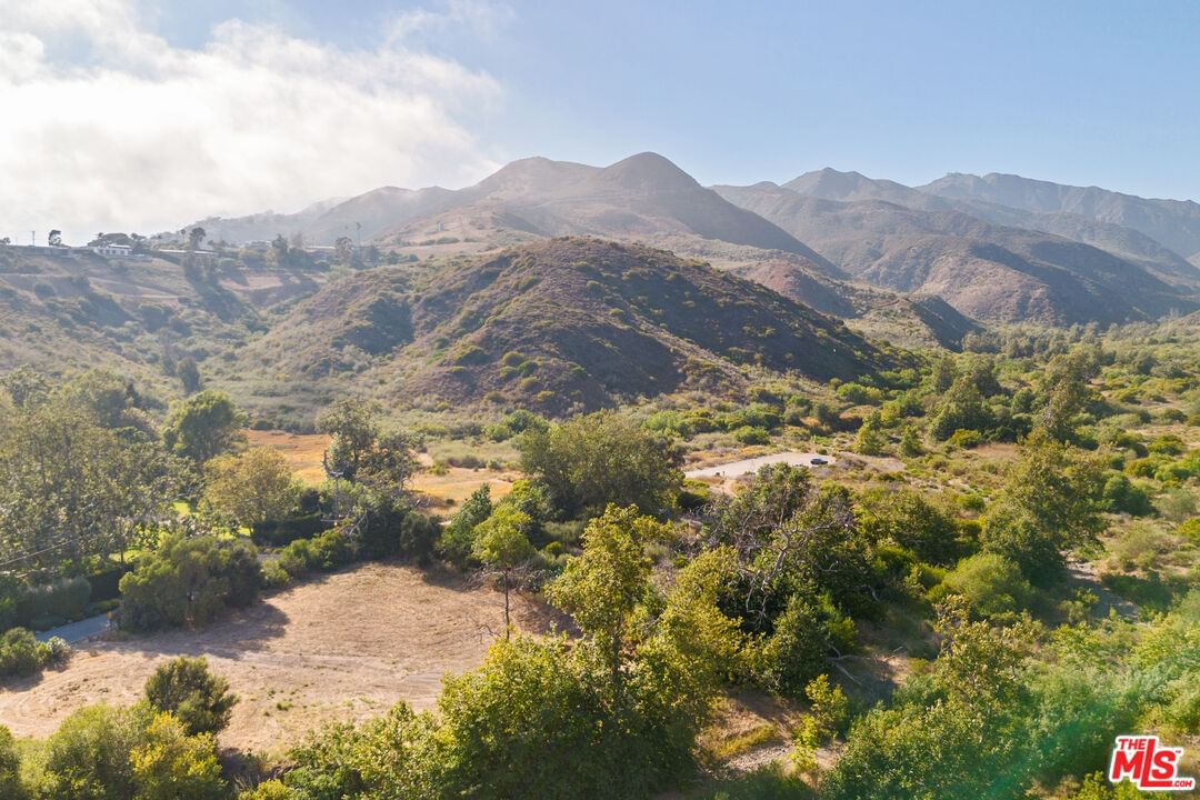 Bonsall photo 29