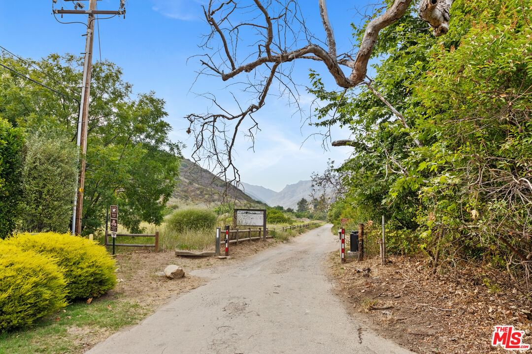 Bonsall photo 31
