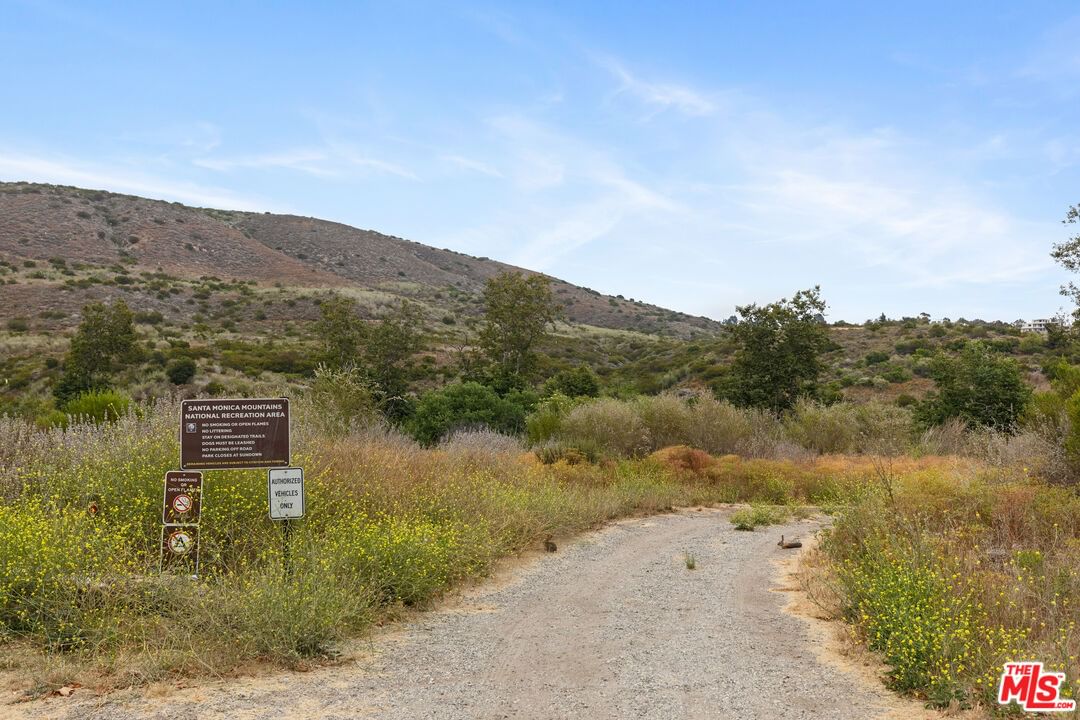 Bonsall photo 33