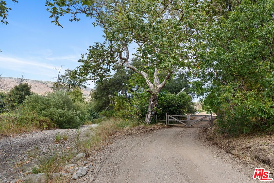 Bonsall photo 7