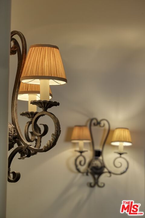 White Oak photo 19