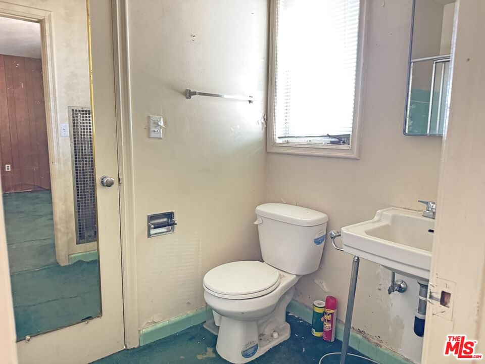 Don Luis photo 13