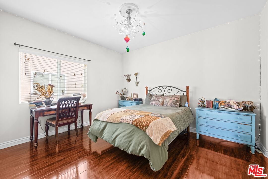 Tampa photo 25