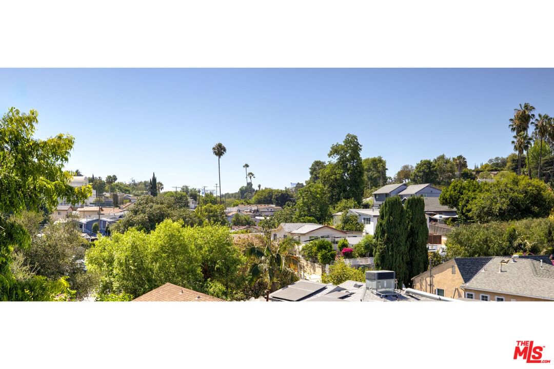 Milo photo 29