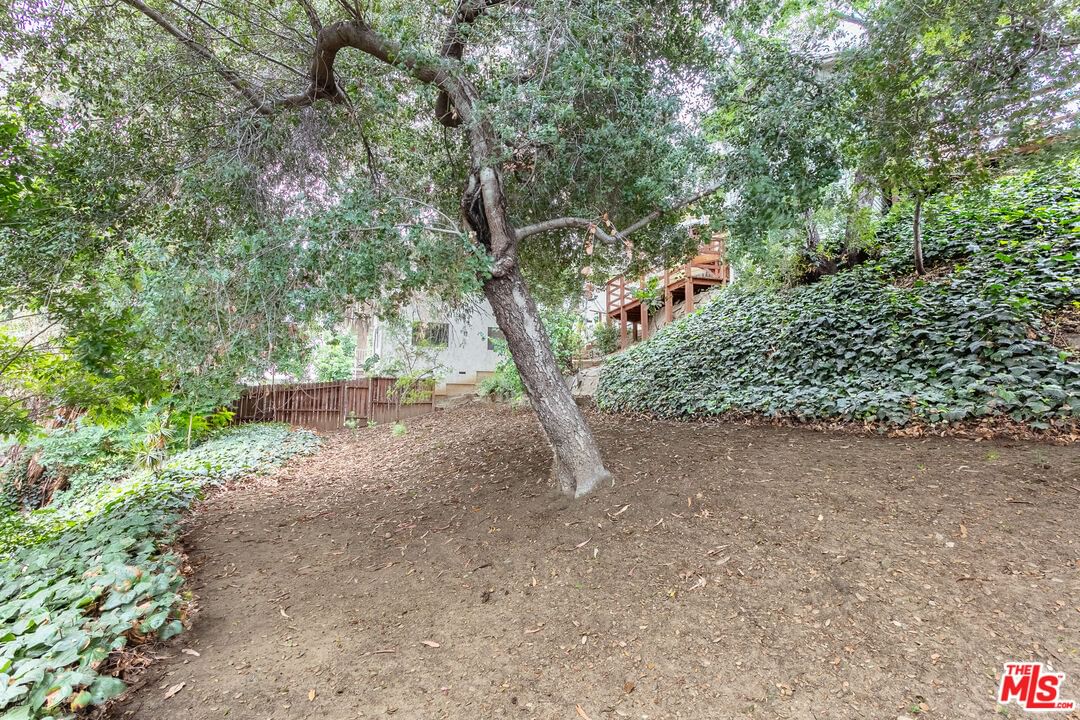 Terrace 49 photo 19