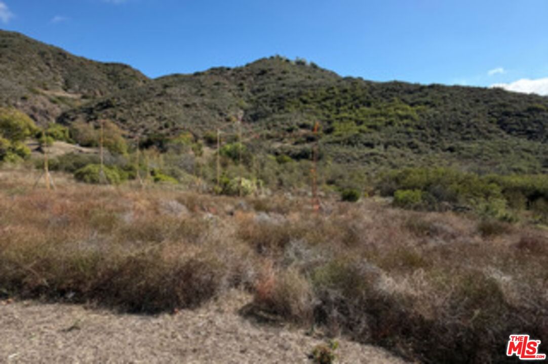 Mulholland photo 6