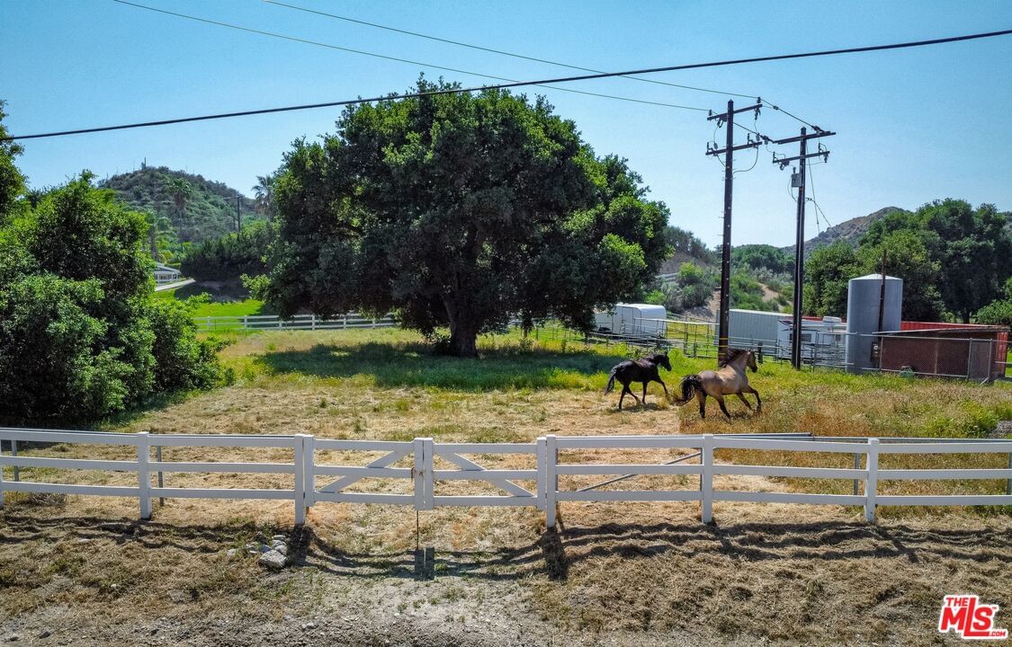 Oak Spring Canyon photo 4