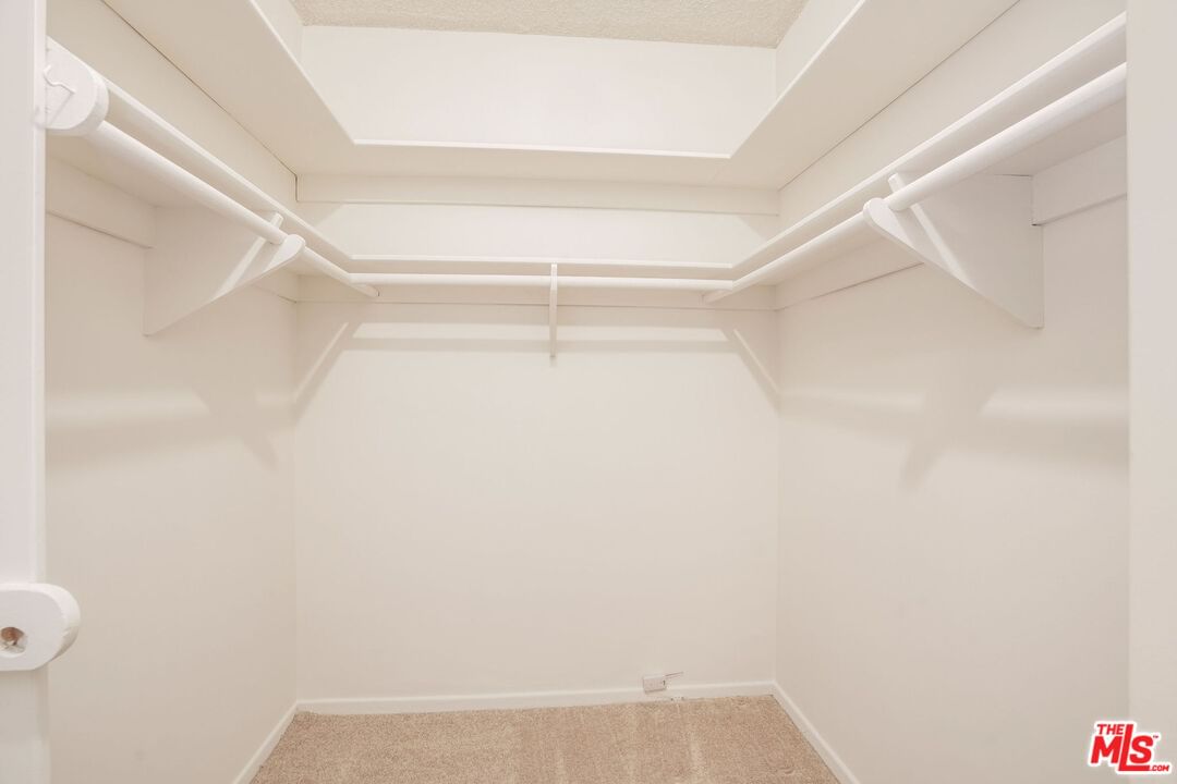 Warner photo 25