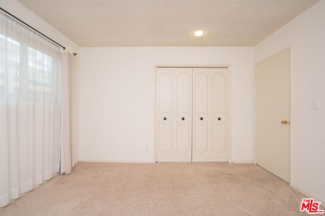 Warner photo 29