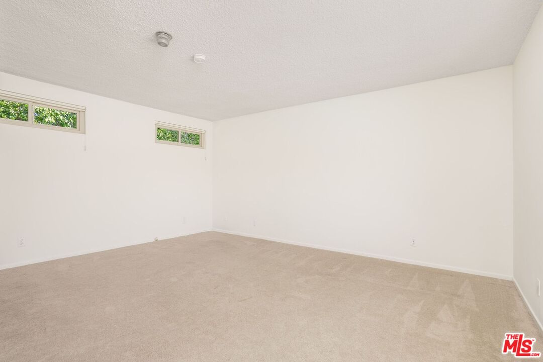 Warner photo 33
