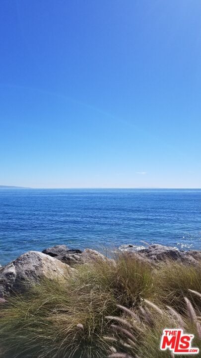 Pacific Coast photo 3