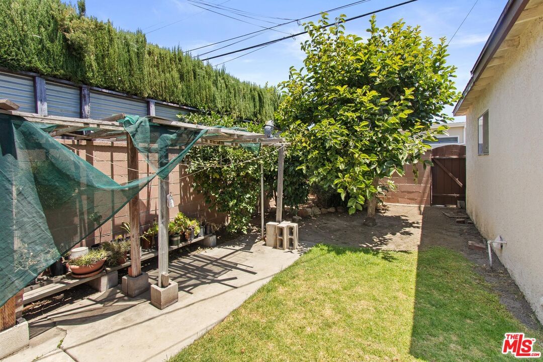 Centinela photo 29