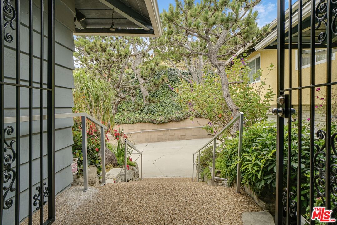 Wright photo 5
