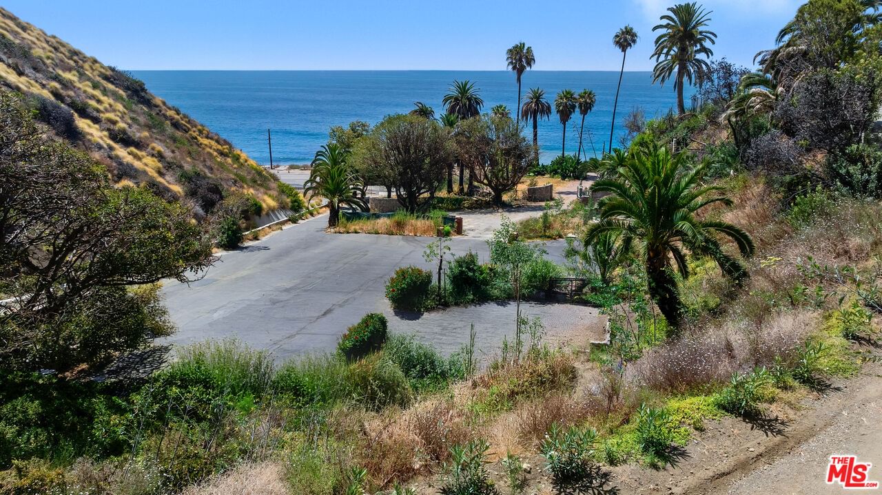 Pacific Coast photo 10