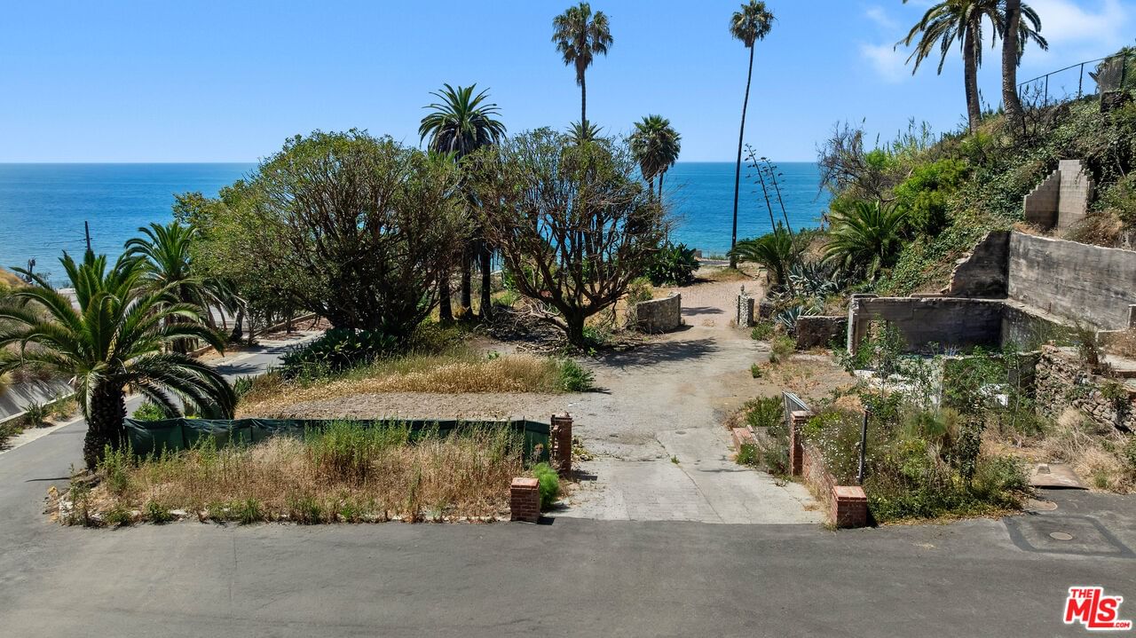 Pacific Coast photo 11