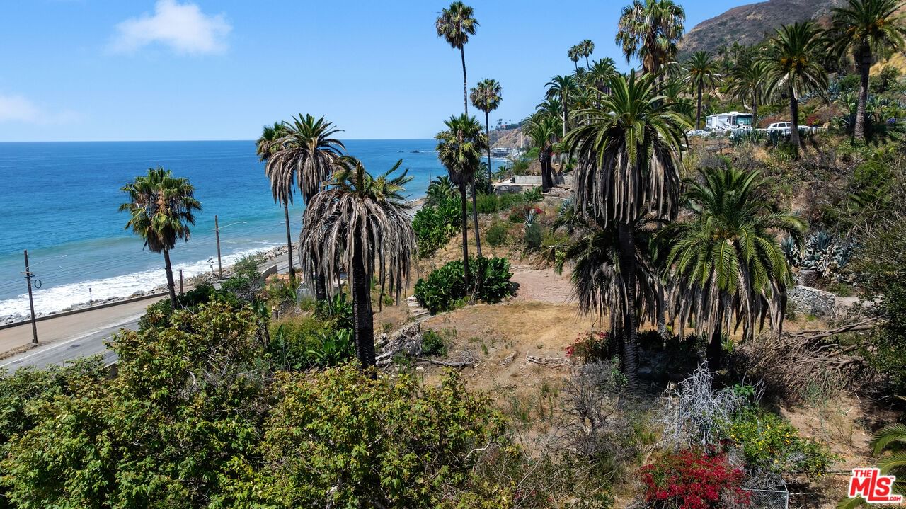 Pacific Coast photo 13
