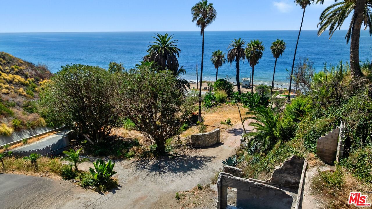 Pacific Coast photo 14