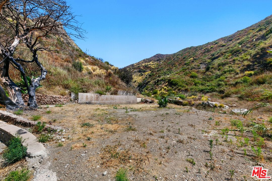 Pacific Coast photo 16