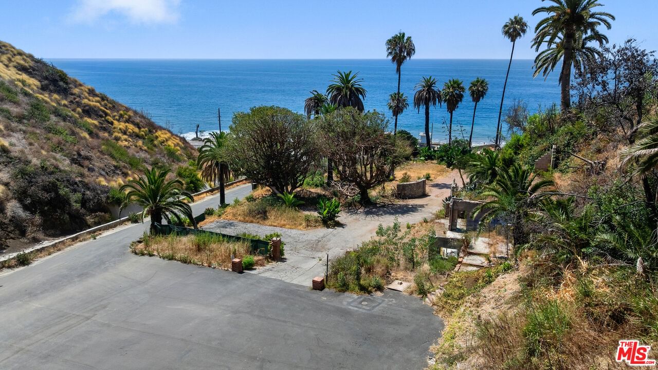 Pacific Coast photo 4