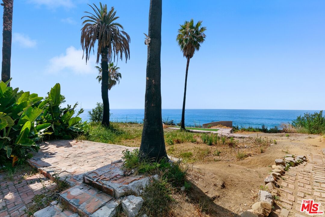 Pacific Coast photo 6