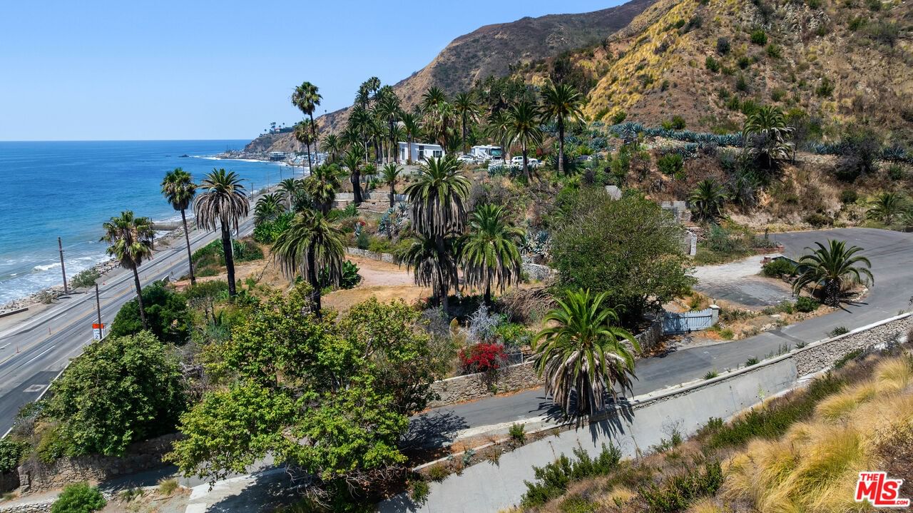 Pacific Coast photo 8