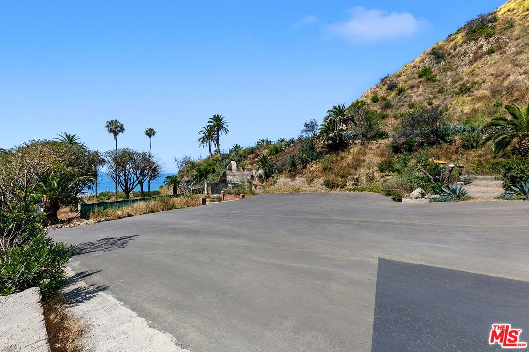 Pacific Coast photo 9
