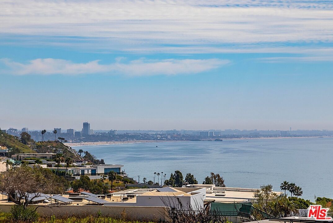 Surfwood photo 1