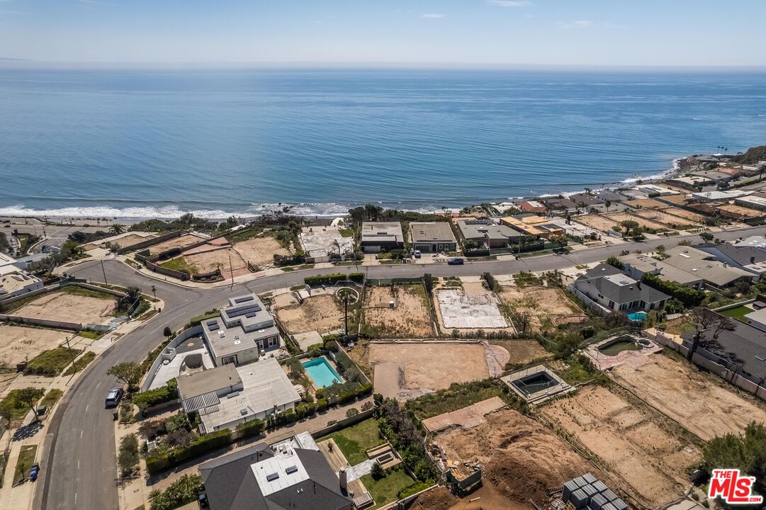 Surfwood photo 11