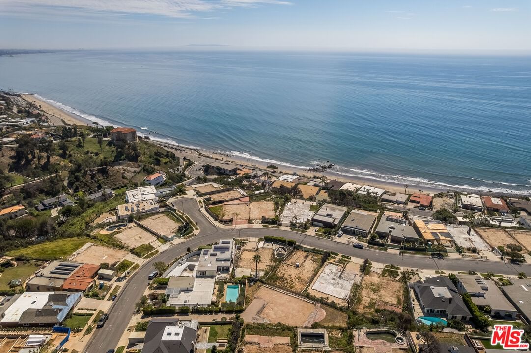 Surfwood photo 12