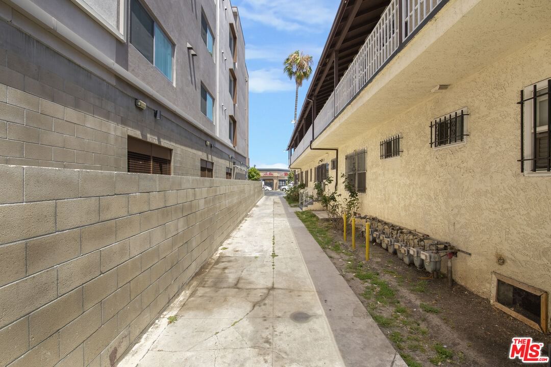 Crenshaw photo 4