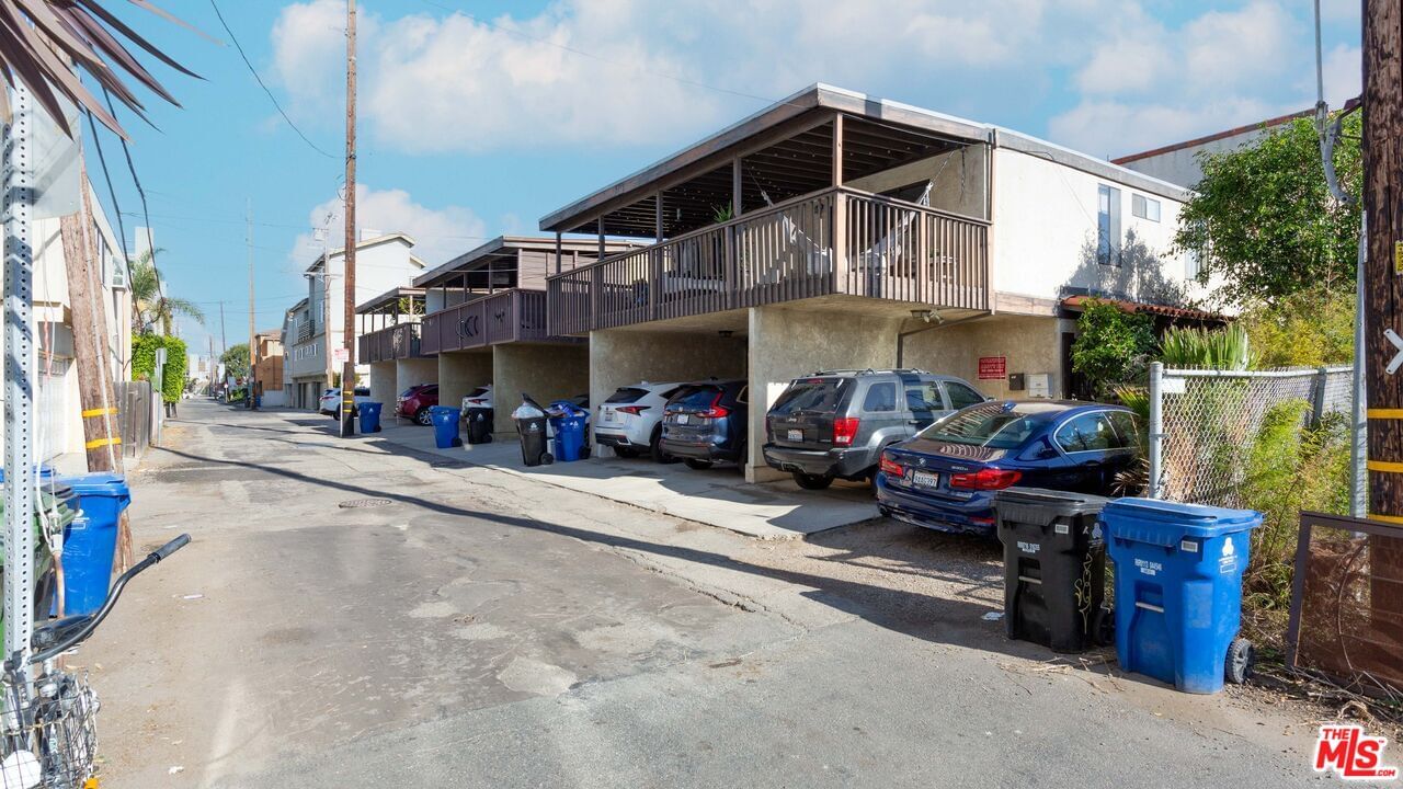 Gran Corso photo 25