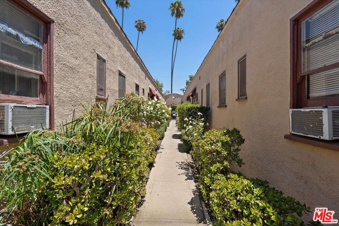 Lodi photo 4