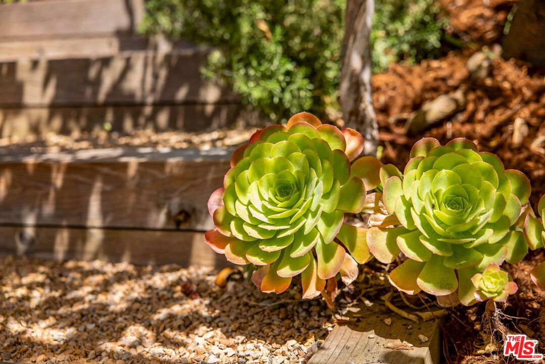 Berkeley photo 26