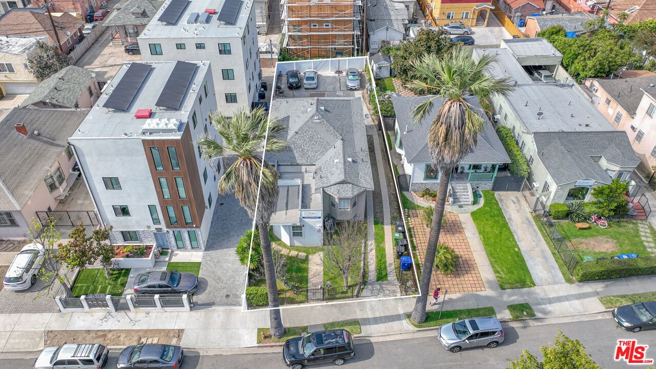36th photo 3
