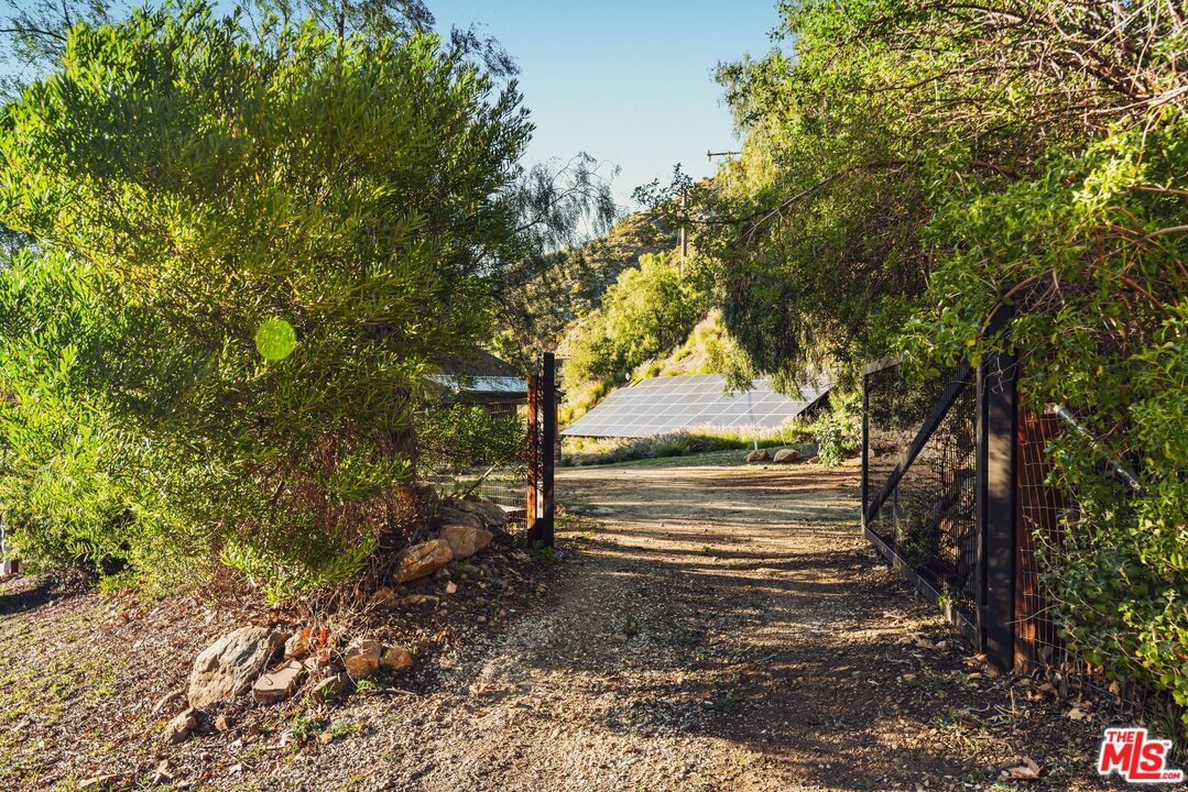 Newton Canyon photo 22