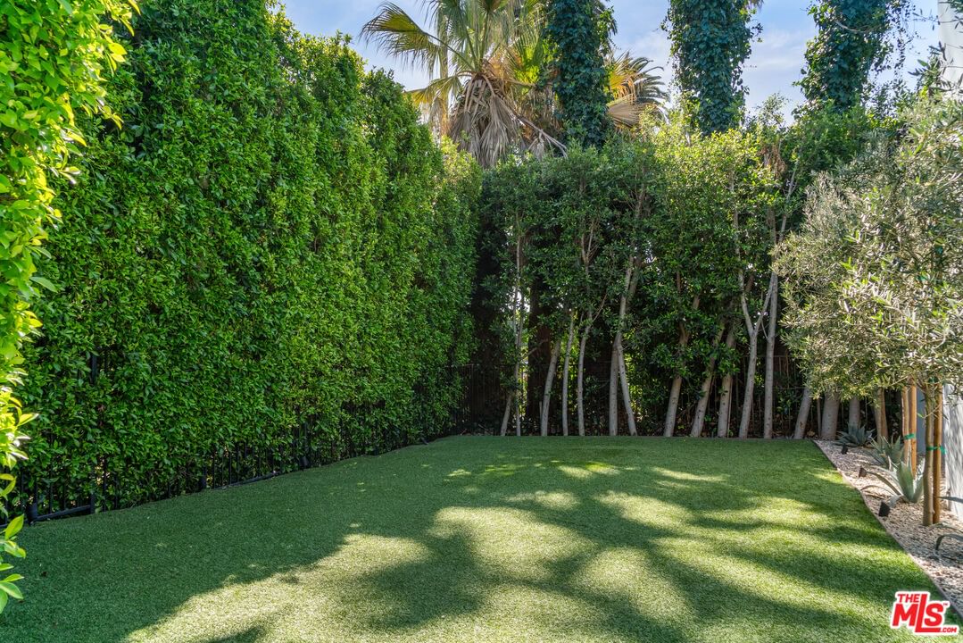 Doheny photo 9