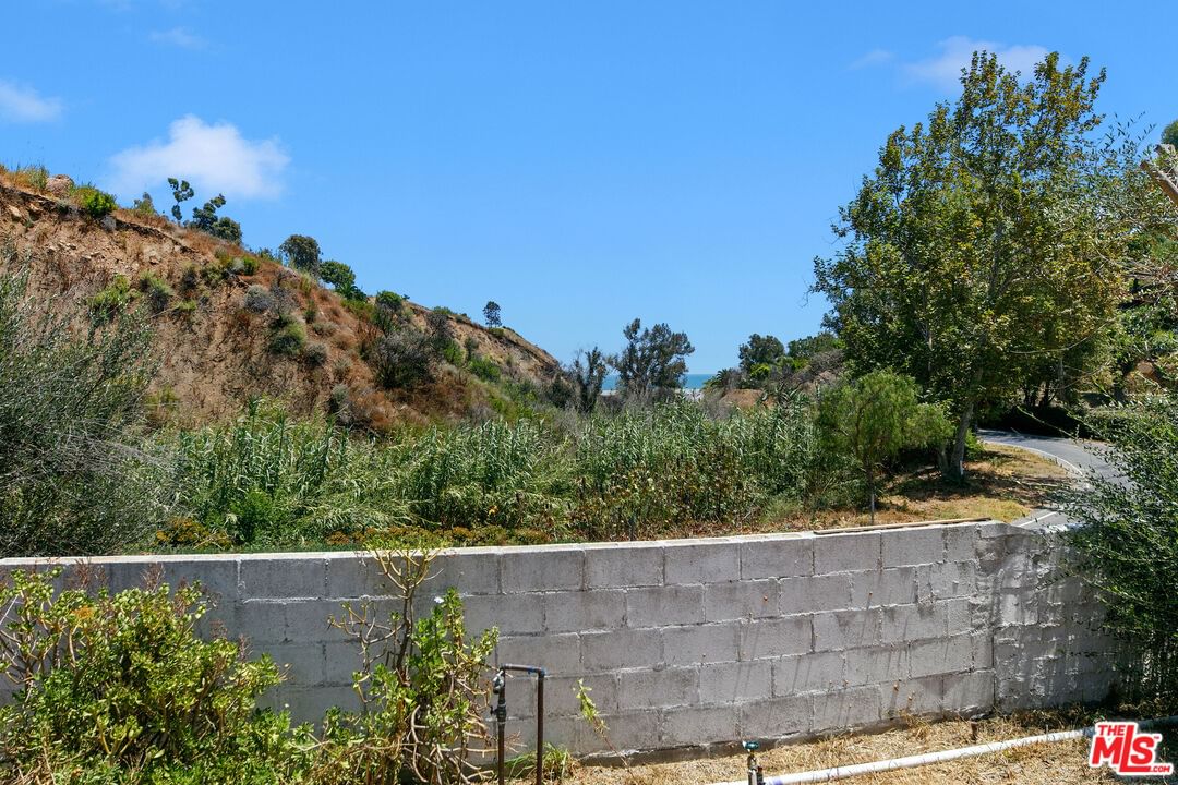 Carbon Canyon photo 12