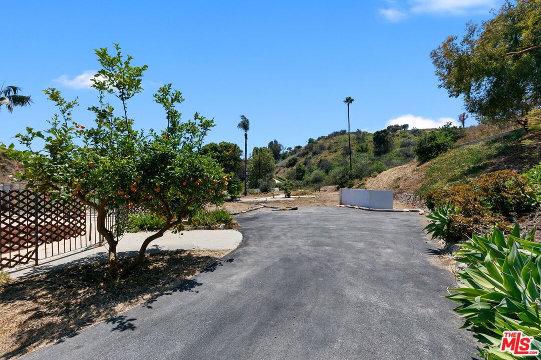 Carbon Canyon photo 6