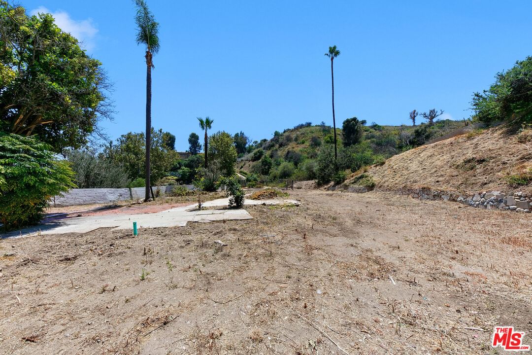 Carbon Canyon photo 8