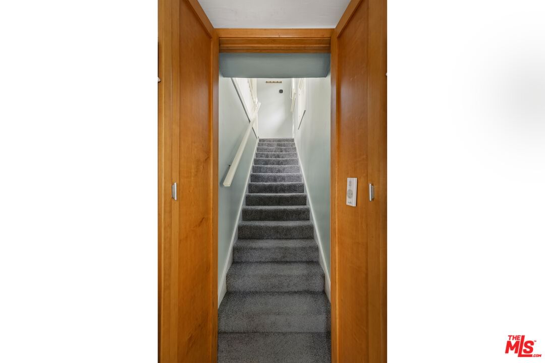 Elevado photo 20