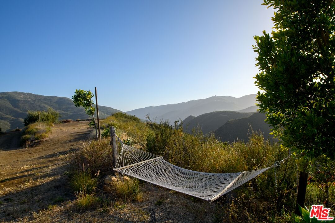 Mulholland photo 12