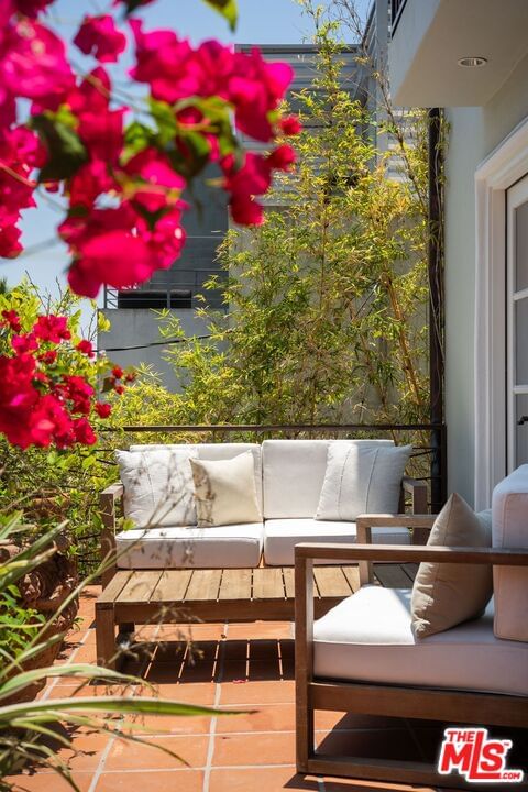 Marmont photo 5