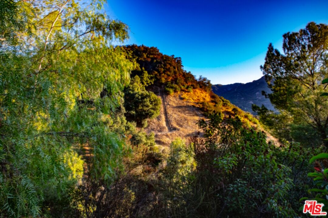 Topanga Skyline photo 15